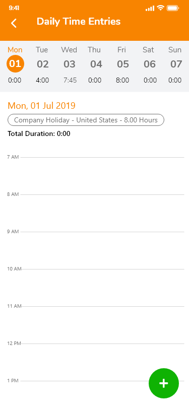 Daily_Time_Entries_-_Detailed_Timesheets__Holiday.png